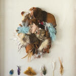 Falsa Taxidermia